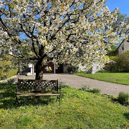 Ferienwohnung Am Kirschbaum Uhldingen-Mühlhofen Kültér fotó