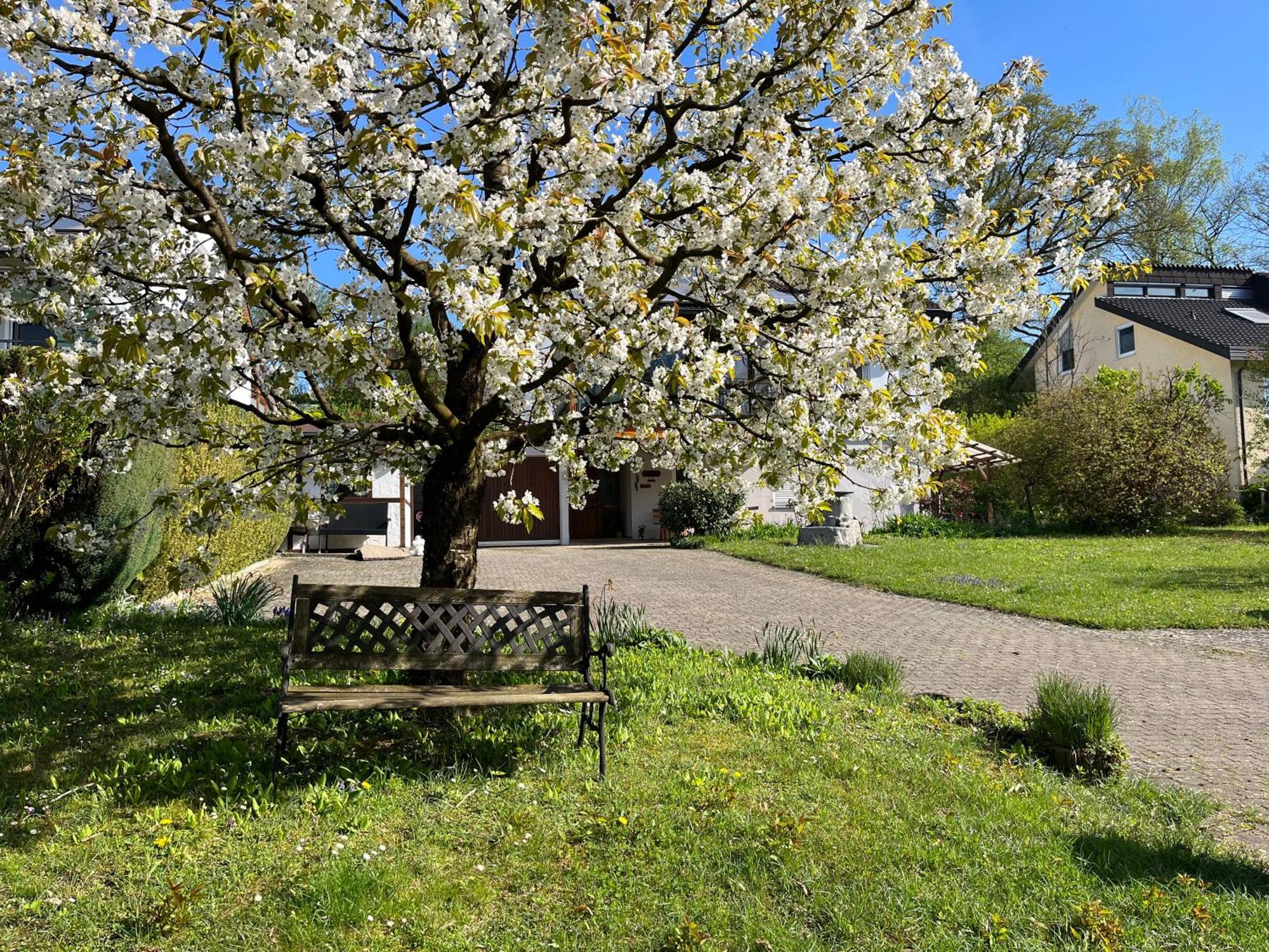 Ferienwohnung Am Kirschbaum Uhldingen-Mühlhofen Kültér fotó